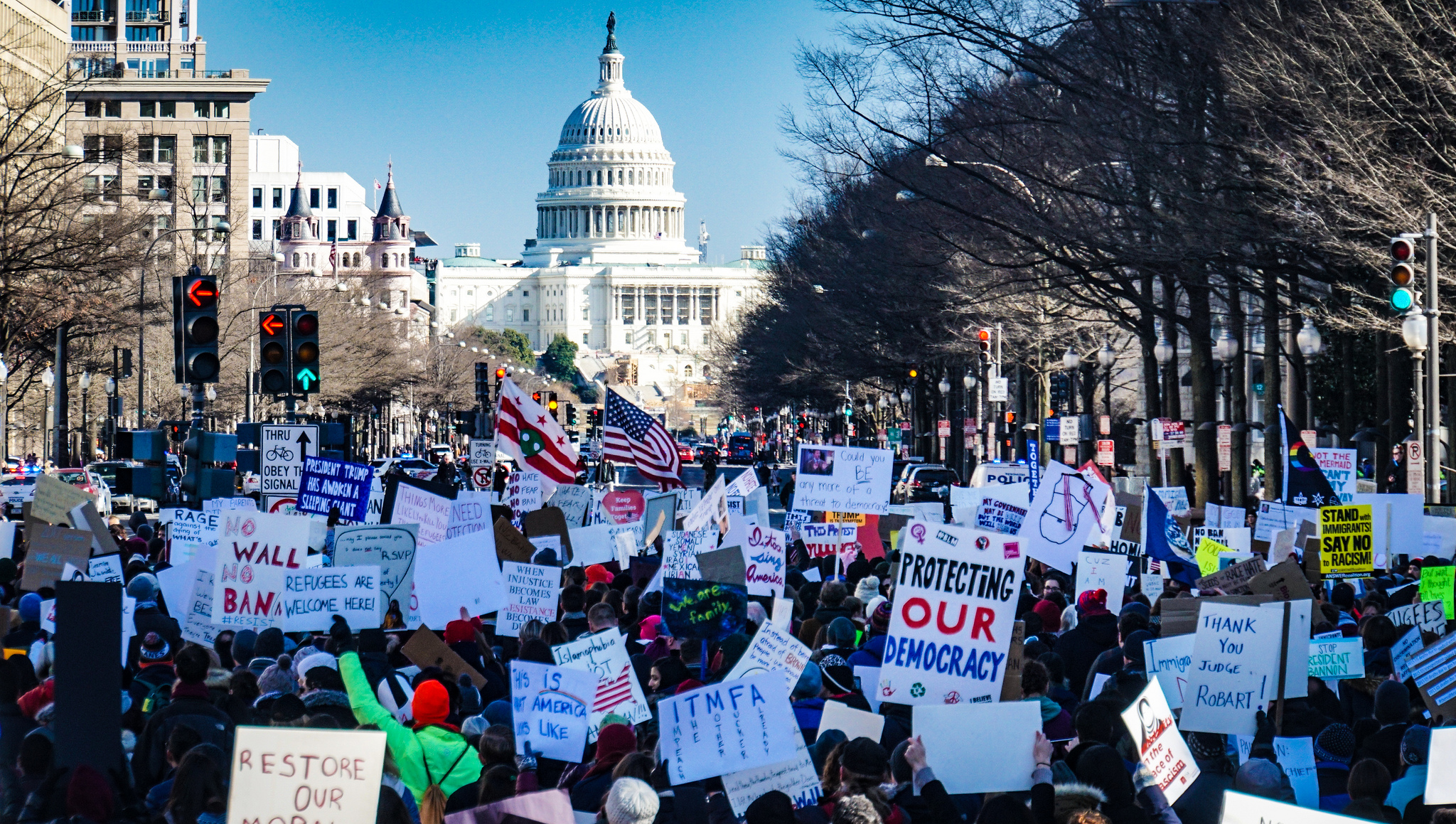 From Congress To Protest Democracy Journal